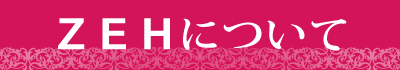 ＺＥＨについて