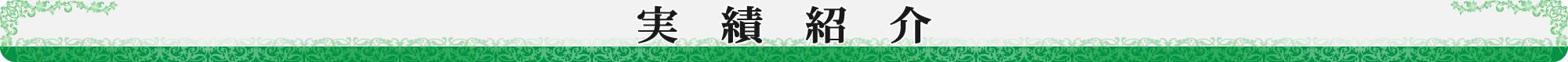 実績紹介